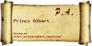Princz Albert névjegykártya